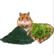 Hamster Nutrition Powder -  Spirulina 25gram / 5gram