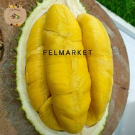 Durian Musangking Indonesia Fresh Utuh/Durian Musang King / Pcs