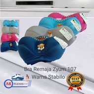 MUSHROOM BRA TEENAGE MUSHROOM BRA ZYUM 107 H2 CUP AA 32/36
