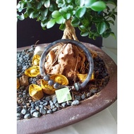 X377 Ready Stock Wuji Half Bangle (wrist 13cm 14cm) 翡翠乌鸡半镯 HB
