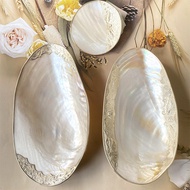 Pearl Shell Fruit Plate Photo Decoration Jewelry Setting Plate Inlaid Large Clam Shell Fruit Plate S