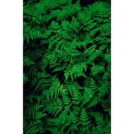 Leaf Pattern Sheet Sticker