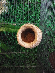 Natural straw bird nest for bird cage