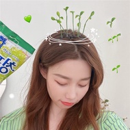 New Style Fashionable All-Match Cute Bean Sprout Side Clip Super Cute Funny Small Bean Sprout Small 