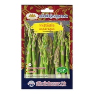 เมล็ดหน่อไม้ฝรั่ง Asparagus MT/OP-134 ปริมาณ20เมล็ด หน่อไม้ฝรั่ง เมล็ดพันธุ์ผัก เมล็ดพันธุ์หน่อไม้ฝรั่ง เมล็ดพันธุ์ผักสวนครัว ตราภูเขาทอง