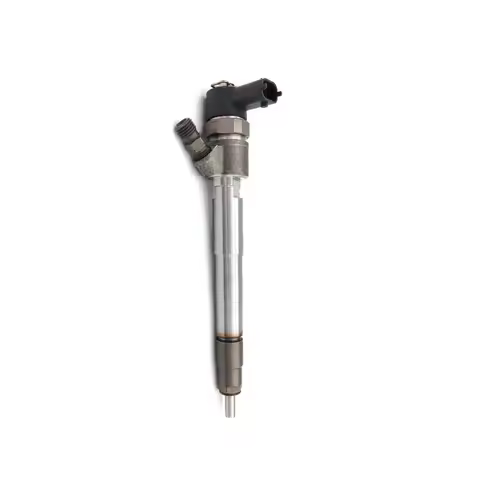High Quality 0445110320 0445110319 338002A900 Diesel Engine Parts Injector Fuel Injector for Hyundai