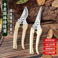 Stainless Steel Gardening Shears Flower Branch Shears Gardening Shears Flower Branch Shears Flower P