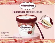 台灣代購 haagen dazs 雪糕 哈根達斯 鑰匙圈 / icash 2.0