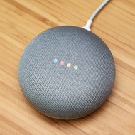 Google Home Mini (Chalk)