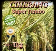 BENIH PADI CIHERANG SUPER JUMBO KEMASAN 1KG