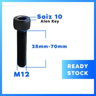 M12 Hexagon Socket Head Allen Key Screw/Skru