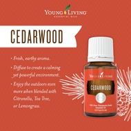 Cedarwood Essential Oil YL 15ml