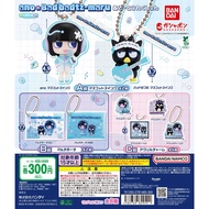Gashapon Lottery ado x Bad Badtz-Maru Assorted Collection
