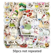 50 PCS Ragdoll Cat Cute Kawaii Stickers Cartoon Animal Childrens Reward DIY Decorative Stickers