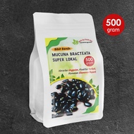 Benih Pilihan Mucuna 500 gram super lokal bibit mucuna bracteata unggulan / benih kacang kacangan