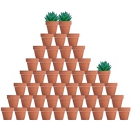 vensovo 48 Pcs 2" Tiny Terracotta & Terra Cotta Pots with Drainage - Small Mini Clay Ceramic Pottery