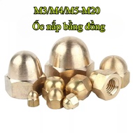 Copper Cap Type Nut Cap Nut Nut Nut Copper Nut/M3/M4/M5-M20 (HJX-VN)