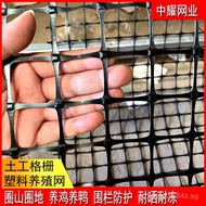Plastic Net Plastic Breeding Net Breeding Isolation Net Plastic Fence Net Corn Net Fence