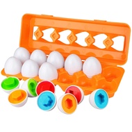 Toddler Eggs Set Toys for 1 2 3 Years Old Boys Girls Colour Sorting Educational Toys Colour Matching Egg