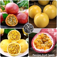 100% Factory Direct Supply 50PCS Passion Fruit Seeds Fruit Tree Seeds ​tropical Fruit Tree Dwarf Fruit Trees Plants