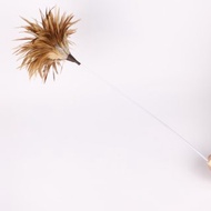 挪威森林 友善逗貓棒 / 新軟管材質 ! 靈活搖擺 / 趣味增加~