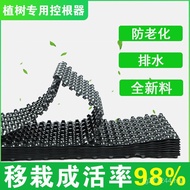 Seedling Planting Tree Circumference] Tree Root Blocking Board Cloud [Root Controller Thickened 3rd 