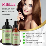 Mielle Organics Rosemary Strengthening Mielle Shampoo | Conditioner | Strengthening Oil