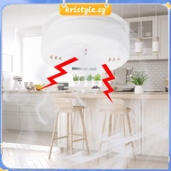 [kristyle.sg] LED Indicator Carbon Monoxide Alarm Easy Installation Carbon Sensor for Home Use