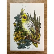 Cockatiel Postcard Parrot Cabin Ningzi Cute Postcards