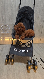 DODOPET 寵物推車 輕便出行