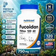 [OFFICIAL] Fucoidan 500mg Optimal Potency Cellular Health, Neuroprotection, Anti-Cancer Nutricost