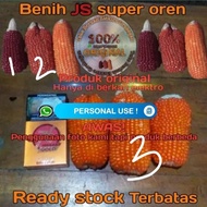 - BENIH JAGUNG KRISTAL MERAH MANGGIS ""