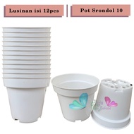 LUSINAN Pot 1 Putih Isi 12 Pcs GROSIR Lusinan 12pcs Pot Bunga Plastik