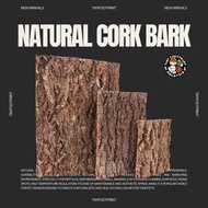 Natural cork bark for isopod & reptile / cork bark wood 🪵