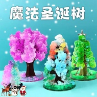 Magic Tree Colorful Christmas Tree Paper Tree Flowering Growing Christmas Tree Magical Magic Tree Wi