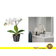 IKEA-FEJKA Artificial potted plant, Orchid white, 9 cm