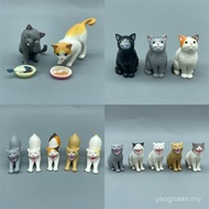 Bulk Goods EPOCH Capsule Toys Cute Haha Cat Lunch Time Eating Gray Cat Orange Cat White Cat House Ca
