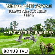 0.20MM 2 INCH NET 17.5X180M BIRD NET/ BIRD NET NET RICE PROTECTION NET/ 350X200YOKO