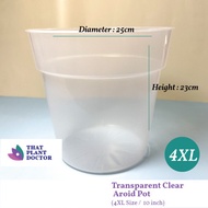 Transparent Clear Aroid Pot (4XL Size / 10 inches pot) (Diameter 25cm / Height 23cm)