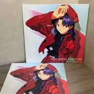 新世紀福音戰士 大張 雷射影碟 葛城美里