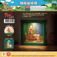 ✨ Dinotaeng 相框磁吸燈｜夜燈＋裝飾一體