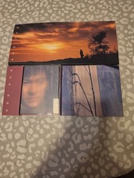 劉德華情未鳥CD