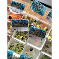 WS SIZE 4 FISHING RING