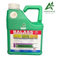 Balass 4L Racun rumpai/Racun serap/Glyphosate 41%