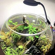 1pc Mini Aquarium Lamp Clip, 5W (Small) Aquarium Light, 7W (Large) Aquarium Light, USB Aquarium Ligh