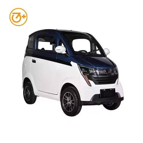 Romania Warehouse COC Electronic Scooter 2-Door 3-Seats EEC Electric New Energy Car Without Driving 