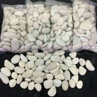 Garden Decorative Stone White Coral Stone Size 3 Kg