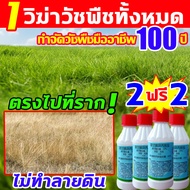 💥1วิฆ่าวัชพืชทั้งหมด💥ยากำจัดวัชพืช สารกำจัดวัชพืช 200ml ผงกำจัดวัชพืช สารกำจัดวัชพืชและหญ้า กำจัดวัชพืชมืออาชีพ100ปี  หญ้าร้ายตายไม่เหลือ โรยลงบนที่วัชพืชที่ต้องการกำจัด ตรงไปที่ราก ไม่ทำร้ายดิน ยาฆ่าตอต้นไม้ ยาฆ่าไม้ไผ่ยากำจัดต้นไม้ ยาฆ่าตอไม้