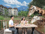 Baobab Safari Resort