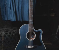 Takamine LTD2021 Blue Rose